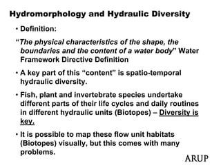 Hydromorphology and Hydraulic Diversity
 • Definition:
 “The physical characteristics of the shape, the
  boundaries and the content of a water body” Water
  Framework Directive Definition
 • A key part of this “content” is spatio-temporal
     k      t f thi “     t t” i      ti t       l
   hydraulic diversity.
 • Fish plant and invertebrate species undertake
   Fish,
   different parts of their life cycles and daily routines
   in different hydraulic units (Biotopes) – Diversity is
   key.
 • It is possible to map these flow unit habitats
   (Biotopes) visually, b t this comes with many
   (Bi t      ) i    ll but thi           ith
   problems.
 