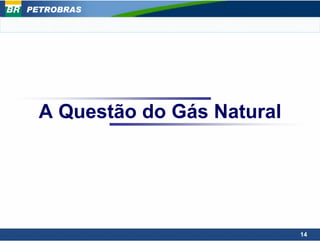 PETROBRAS




  A Questão do Gás Natural




                             14
 
