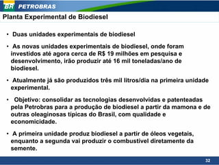PETROBRAS
Planta Experimental de Biodiesel

 • Duas unidades experimentais de biodiesel
 • As novas unidades experimentais de biodiesel, onde foram
   investidos até agora cerca de R$ 19 milhões em pesquisa e
   desenvolvimento, irão produzir até 16 mil toneladas/ano de
   biodiesel.
 • Atualmente já são produzidos três mil litros/dia na primeira unidade
   experimental.
 • Objetivo: consolidar as tecnologias desenvolvidas e patenteadas
  pela Petrobras para a produção de biodiesel a partir da mamona e de
  outras oleaginosas típicas do Brasil, com qualidade e
  economicidade.
 • A primeira unidade produz biodiesel a partir de óleos vegetais,
   enquanto a segunda vai produzir o combustível diretamente da
   semente.
                                                                     32
 