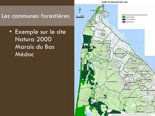 Les communes forestières Exemple sur le site Natura 2000 Marais du Bas Médoc  