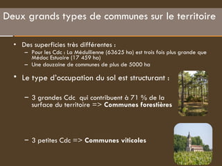 Des superficies très différentes :  Pour les Cdc : La Médullienne (63625 ha) est trois fois plus grande que Médoc Estuaire (17 459 ha) Une douzaine de communes de plus de 5000 ha  Deux grands types de communes sur le territoire  Le type d’occupation du sol est structurant :  3 grandes Cdc  qui contribuent à 71 % de la surface du territoire =>  Communes forestières   3 petites Cdc =>  Communes viticoles  