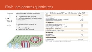 FRAP : des données quantitatives
Diminution de la constante D (Diffusion) :
 Augmentation de la viscosité
 Formation d’agrégats ou de complexes
 Interaction
Augmentation de la constante D :
 Mouvement dirigé
 Diminution de la viscosité
Température
Viscosité
 