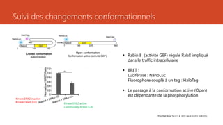 Suivi des changements conformationnels
Proc Natl Acad Sci U S A. 2015 Jan 6; 112(1): 148–153..
Closed conformation
Autoinhibition
Open conformation
Conformation active (activité GEF)  Rabin 8 (activité GEF) régule Rab8 impliqué
dans le traffic intracellulaire
 BRET :
Luciférase : NanoLuc
Fluorophore couplé à un tag : HaloTag
 Le passage à la conformation active (Open)
est dépendante de la phosphorylation
Kinase ERK2 active
Constituvely Active (CA)
Kinase ERK2 inactive
Kinase Dead (KD)
 