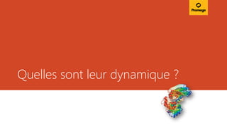 Quelles sont leur dynamique ?
 