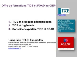Offre de formations TICE et FOAD au CIEP
Plaquette
1. TICE et pratiques pédagogiques
2. TICE et ingénierie
3. Conseil et expertise TICE et FOAD
Université BELC, 8 modules
Classe inversée, approche actionnelle, projet collaboratif, communiquer
avec le numérique, pilotage FOAD…
Ateliers « TICE à la carte » : s’initier, intégrer
www.reseaubelc.fr
 