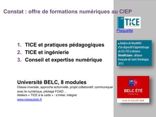 Constat : offre de formations numériques au CIEP
Plaquette
1. TICE et pratiques pédagogiques
2. TICE et ingénierie
3. Conseil et expertise numérique
Université BELC, 8 modules
Classe inversée, approche actionnelle, projet collaboratif, communiquer
avec le numérique, pilotage FOAD…
Ateliers « TICE à la carte » : s’initier, intégrer
www.reseaubelc.fr
 