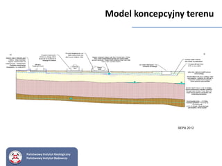 SEPA 2012
Model koncepcyjny terenu
Państwowy Instytut Geologiczny
Państwowy Instytut Badawczy
 