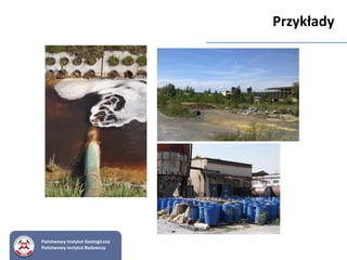 Państwowy Instytut Geologiczny
Państwowy Instytut Badawczy
Przykłady
 