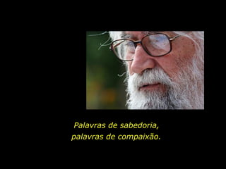 Palavras de sabedoria,
palavras de compaixão.
 