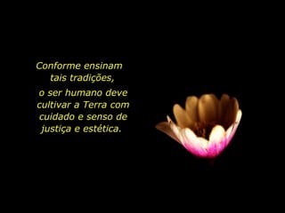 Conforme ensinam  tais tradições,  o ser humano deve cultivar a Terra com cuidado e senso de justiça e estética.  
