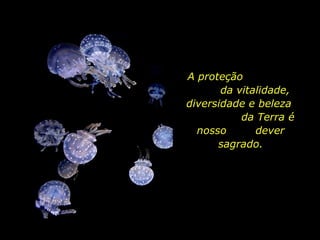 A proteção  da vitalidade, diversidade e beleza  da Terra é nosso  dever sagrado. 