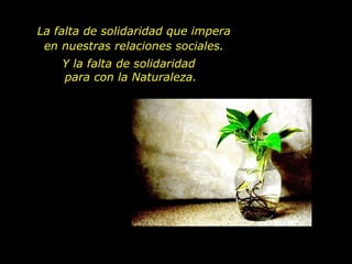 La falta de solidaridad que impera en nuestras relaciones sociales. Y la falta de solidaridad  para con la Naturaleza. 