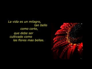 La vida es un milagro,  tan bello como corto, que debe ser  cultivado como  las flores mas bellas.  
