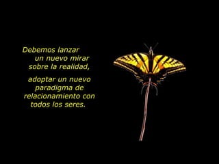 Debemos lanzar  un nuevo mirar  sobre la realidad, adoptar un nuevo paradigma de relacionamiento con todos los seres.  