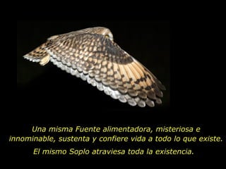 Una misma Fuente alimentadora, misteriosa e innominable, sustenta y confiere vida a todo lo que existe. El mismo Soplo atraviesa toda la existencia. 