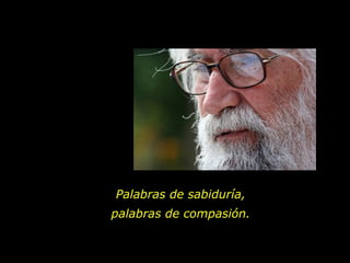 Palabras de sabiduría,
palabras de compasión.
 
