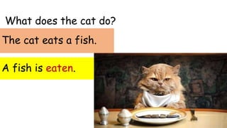 What does the cat do?
A fish is eaten.
The cat eats a fish.
 