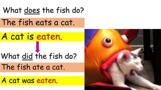What does the fish do?
A cat is eaten.
The fish eats a cat.
What did the fish do?
A cat was eaten.
The fish ate a cat.
 