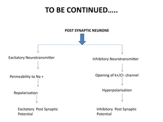 TO BE CONTINUED…..
POST SYNAPTIC NEURONE
Excitatory Neurotransmitter Inhibitory Neurotransmitter
Permeability to Na +
Repolarisation
Excitatory Post Synaptic
Potential
Opening of k+/Cl- channel
Hyperpolarisation
Inhibitory Post Synaptic
Potential
 