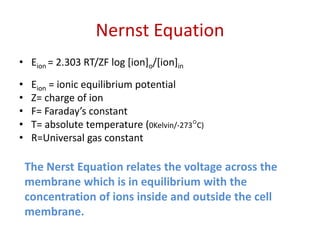 Nernst Equation
• Eion = 2.303 RT/ZF log [ion]o/[ion]in
• Eion = ionic equilibrium potential
• Z= charge of ion
• F= Faraday’s constant
• T= absolute temperature (0Kelvin/-273°C)
• R=Universal gas constant
The Nerst Equation relates the voltage across the
membrane which is in equilibrium with the
concentration of ions inside and outside the cell
membrane.
 