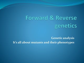 Genetic analysis
It’s all about mutants and their phenotypes
 