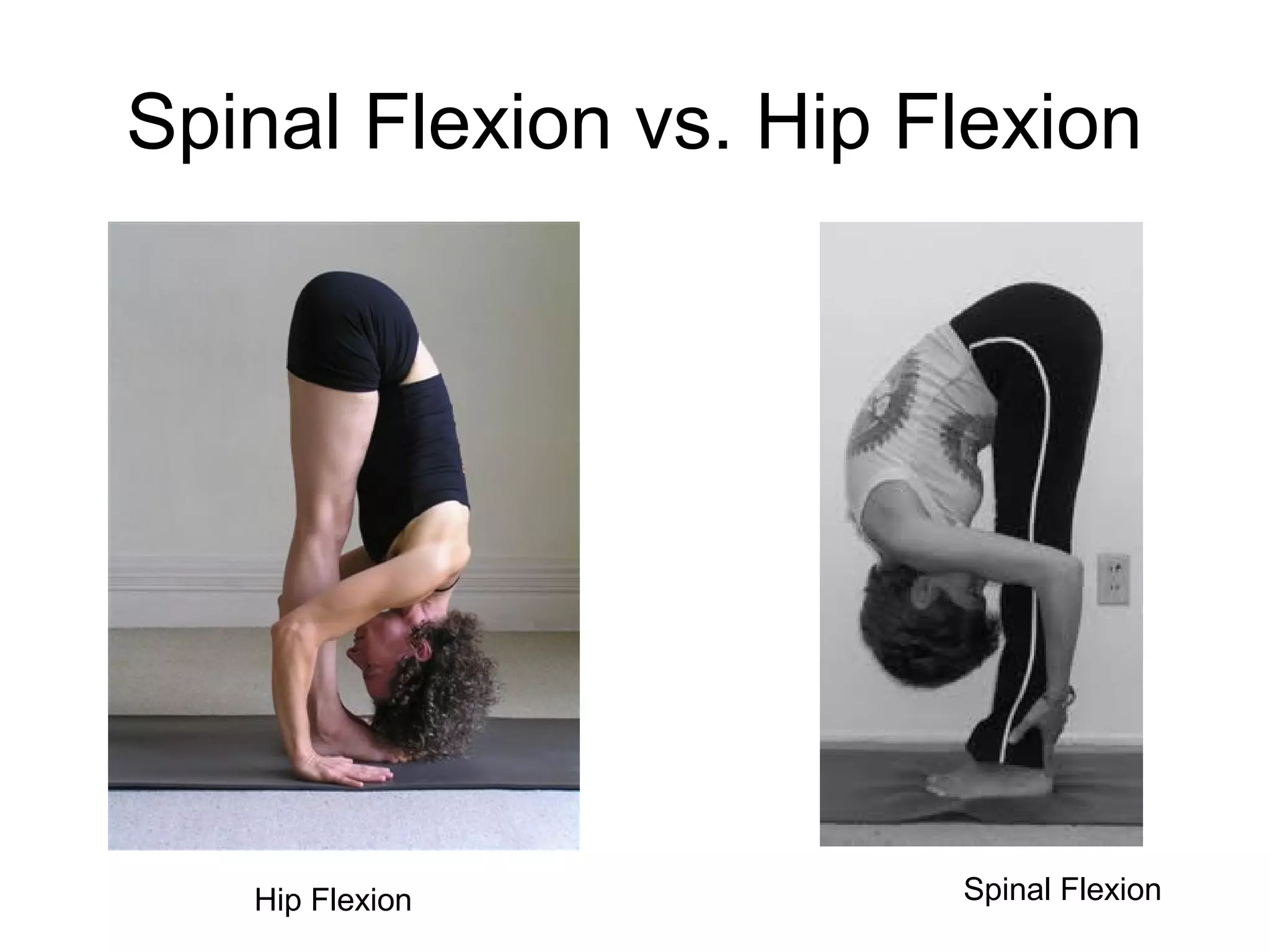 Spinal Flexion vs. Hip Flexion
Hip Flexion Spinal Flexion
 
