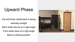 Upward Phase
Hip and Knee unfold back to being
vertically straight
Back ankle returns to a right angle
Front ankle stays at a right angle
Back to starting position
 