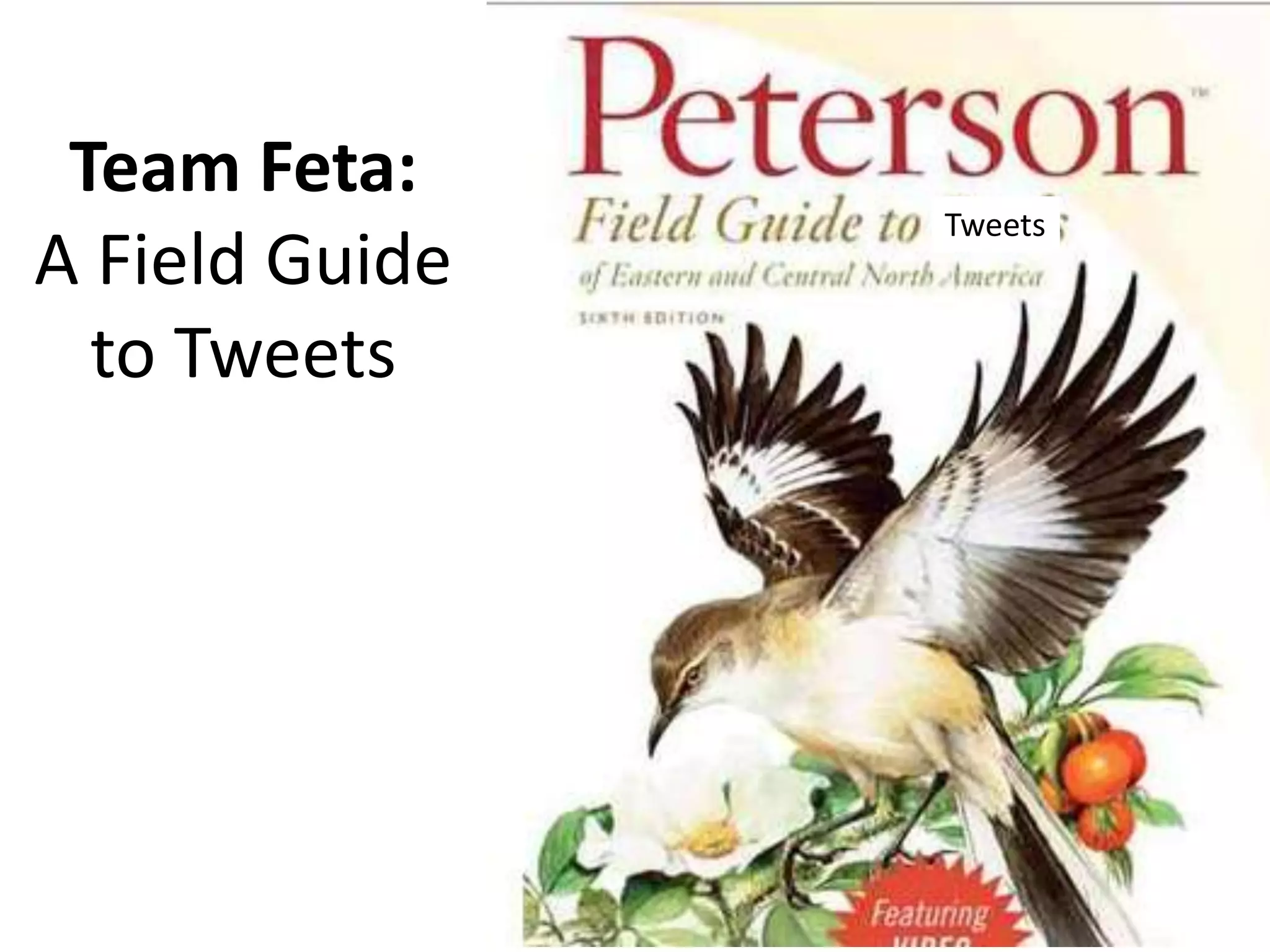 Team Feta:
A Field Guide
to Tweets
Tweets
 