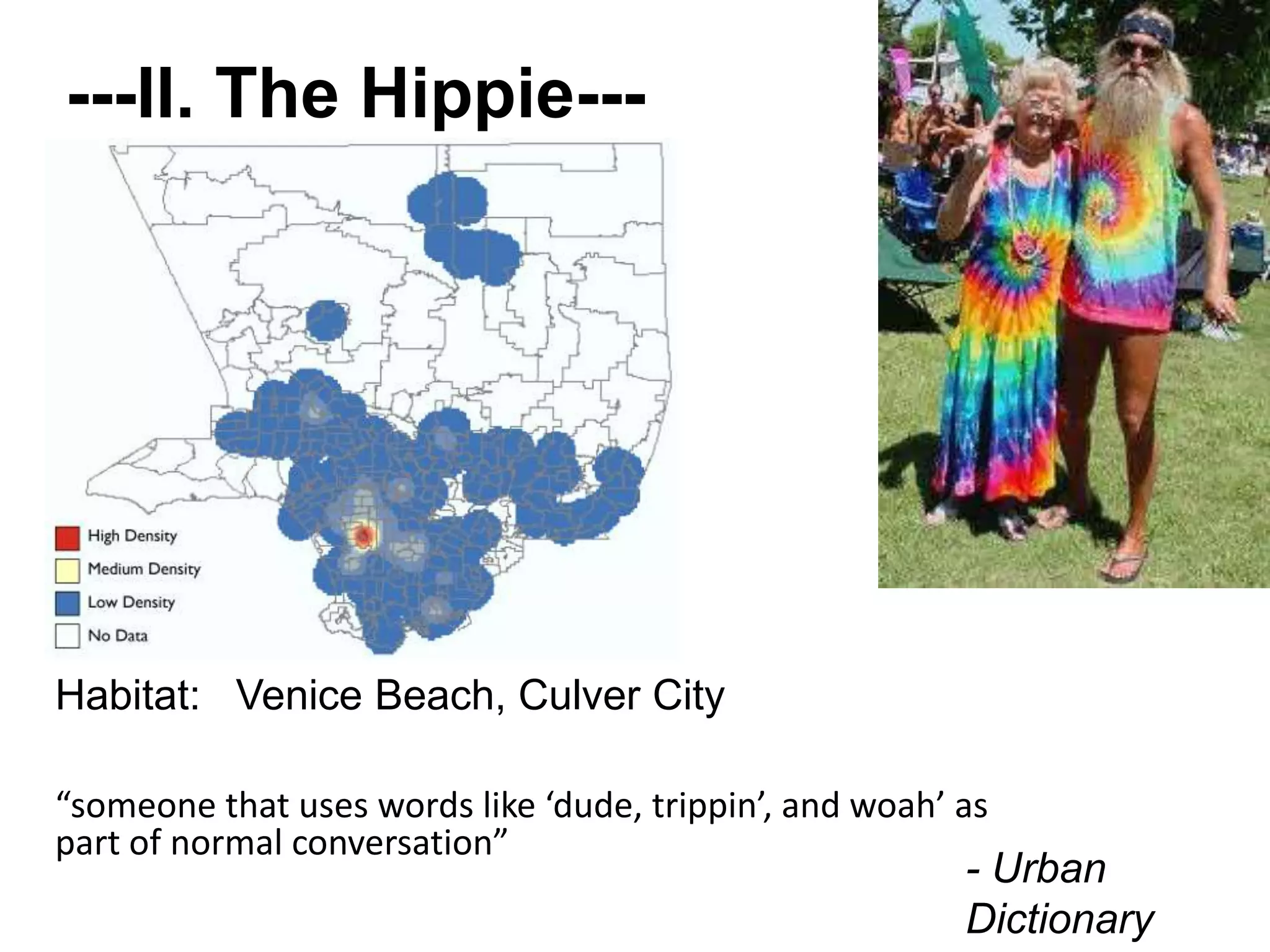 ---II. The Hippie---
“someone that uses words like ‘dude, trippin’, and woah’ as
part of normal conversation”
- Urban
Dictionary
Habitat: Venice Beach, Culver City
 