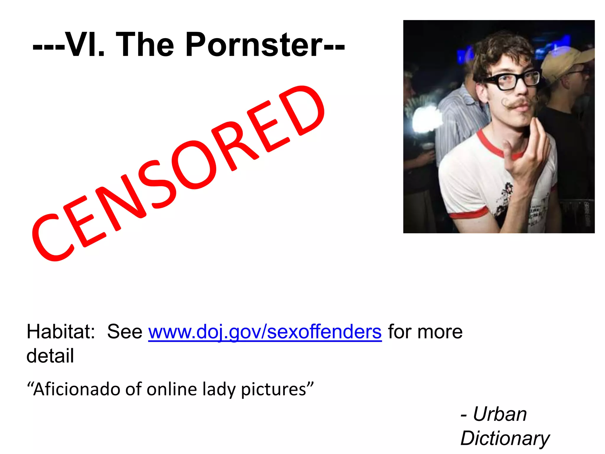 ---VI. The Pornster--
“Aficionado of online lady pictures”
- Urban
Dictionary
Habitat: See www.doj.gov/sexoffenders for more
detail
 