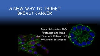 A NEW WAY TO TARGET
BREAST CANCER
Joyce Schroeder, PhD
Professor and Head
Molecular and Cellular Biology
University of Arizona
 