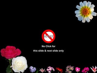 No Click for
this slide & next slide only
 