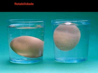 flotabilidade
 