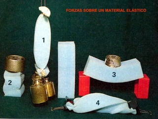 FORZAS SOBRE UN MATERIAL ELÁSTICO

 