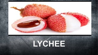 LYCHEE
 