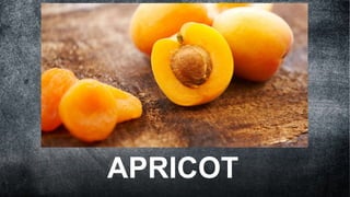 APRICOT
 