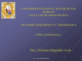 Dra. Juana Delgadillo Avila 
UNIVERSIDAD NACIONAL MAYOR DE SAN MARCOS FACULTAD DE ODONTOLOGIA ANATOMIA DESCRIPTIVA Y TOPOGRAFICA FOSA CIGOMATICA 
Dra. CD.Juana Delgadillo Avila  