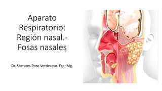 Aparato
Respiratorio:
Región nasal.-
Fosas nasales
Dr. Sócrates Pozo Verdesoto. Esp; Mg.
 