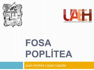 FOSA
POPLÍTEA
Juan Andrés López Ugalde
 