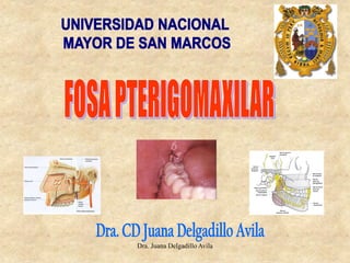 Dra. Juana Delgadillo Avila  