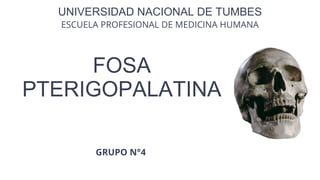 FOSA
PTERIGOPALATINA
UNIVERSIDAD NACIONAL DE TUMBES
ESCUELA PROFESIONAL DE MEDICINA HUMANA
GRUPO N°4
 