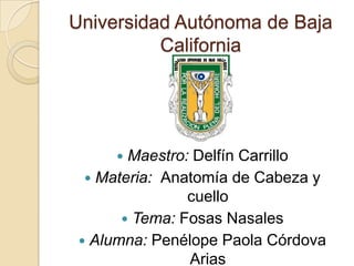 Universidad Autónoma de Baja
California

Maestro: Delfín Carrillo
 Materia: Anatomía de Cabeza y
cuello
 Tema: Fosas Nasales
 Alumna: Penélope Paola Córdova
Arias


 