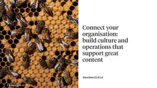 Steve Bates CC BY 2.0
Connect your
organisation:
build culture and
operations that
support great
content
© Brilliant Noise 2016
 