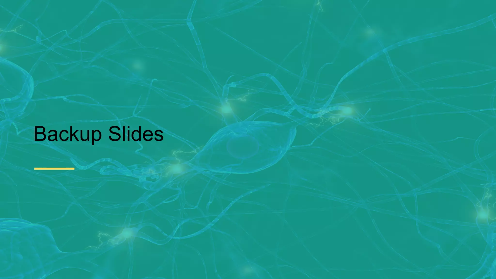 Backup Slides 