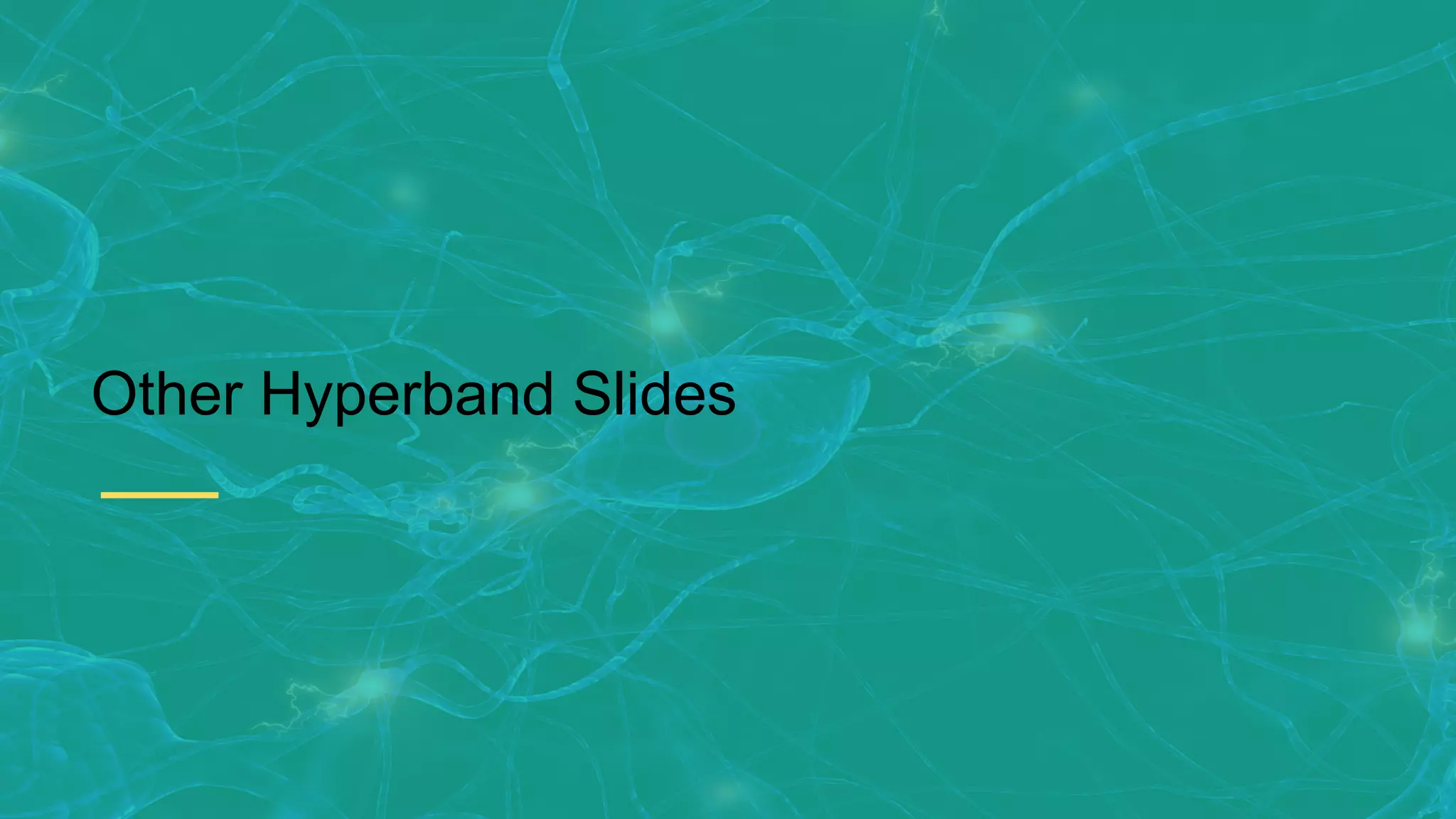 Other Hyperband Slides 