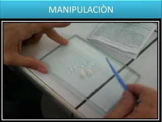 MANIPULACIÒN

 