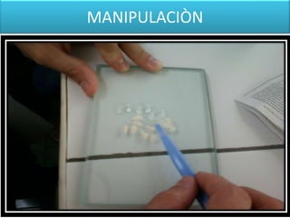 MANIPULACIÒN

 