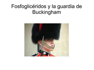 Fosfoglicéridos y la guardia de
         Buckingham
 