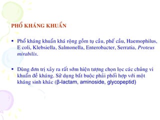 PHOÅ KHAÙNG KHUAÅN
 Phoå khaùng khuaån khaù roäng goàm tuï caàu, pheá caàu, Haemophilus,
E coli, Klebsiella, Salmonella, Enterobacter, Serratia, Proteus
mirabilis.
 Duøng ñôn trò xaûy ra raát sôùm hieän töôïng choïn loïc caùc chuûng vi
khuaån ñeà khaùng. Söû duïng baét buoäc phaûi phoái hôïp vôùi moät
khaùng sinh khaùc (β-lactam, aminoside, glycopeptid)
 