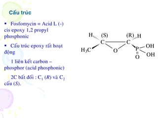  Fosfomycin = Acid L (-)
cis epoxy 1,2 propyl
phosphonic
 Caáu truùc epoxy raát hoaït
ñoäng
1 lieân keát carbon –
phosphor (acid phosphonic)
2C baát ñoái : C1 (R) vaø C2
caáu (S).
Caáu truùc
P
OH
OHO
CC
OH3C
H H(S) (R)
 